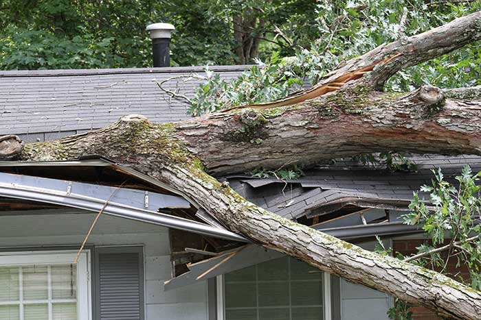 Storm Damage Repair Services